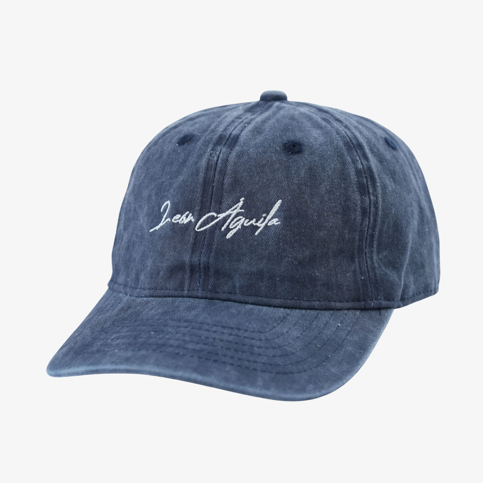 Navy Signature Baseball Cap