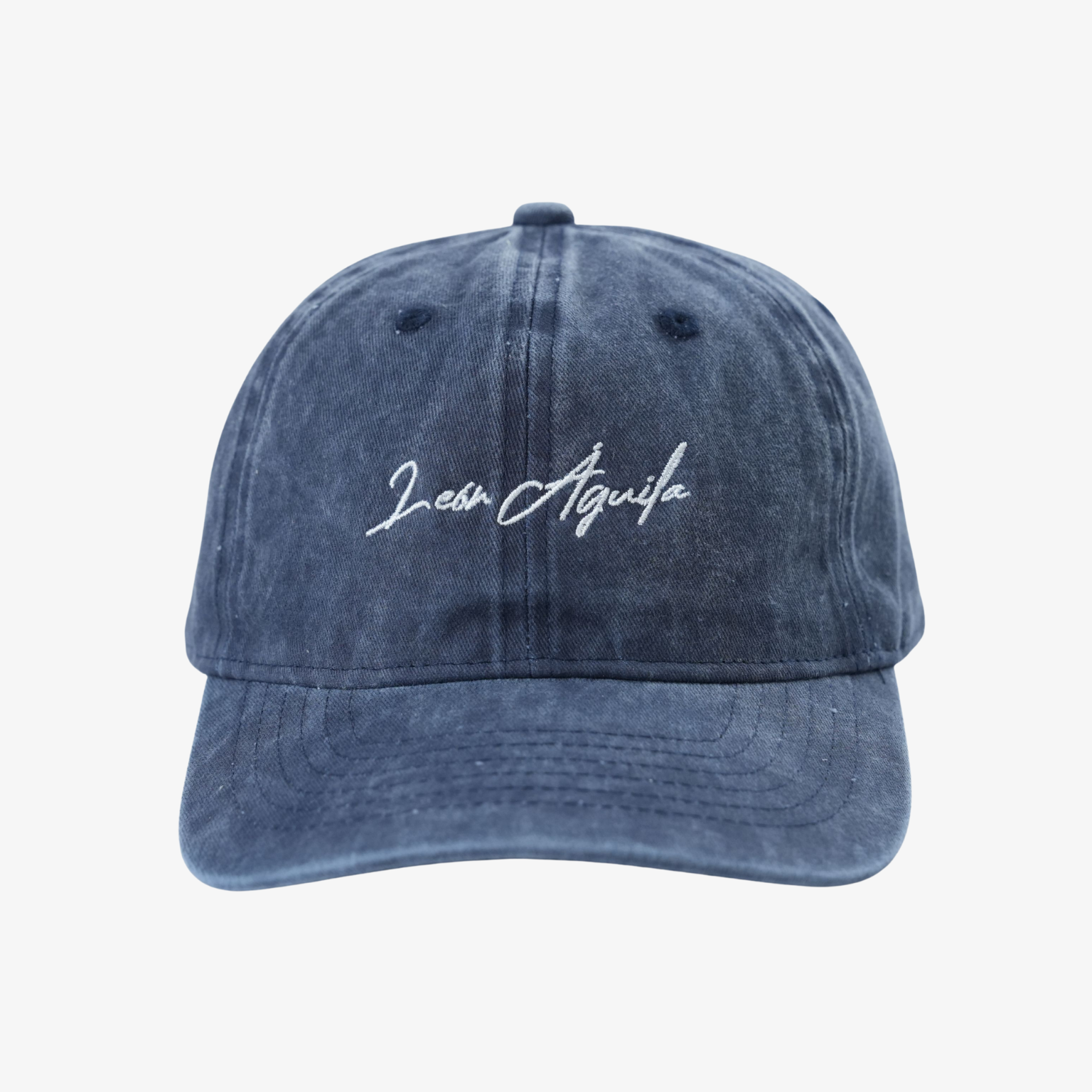 Navy Signature Baseball Cap