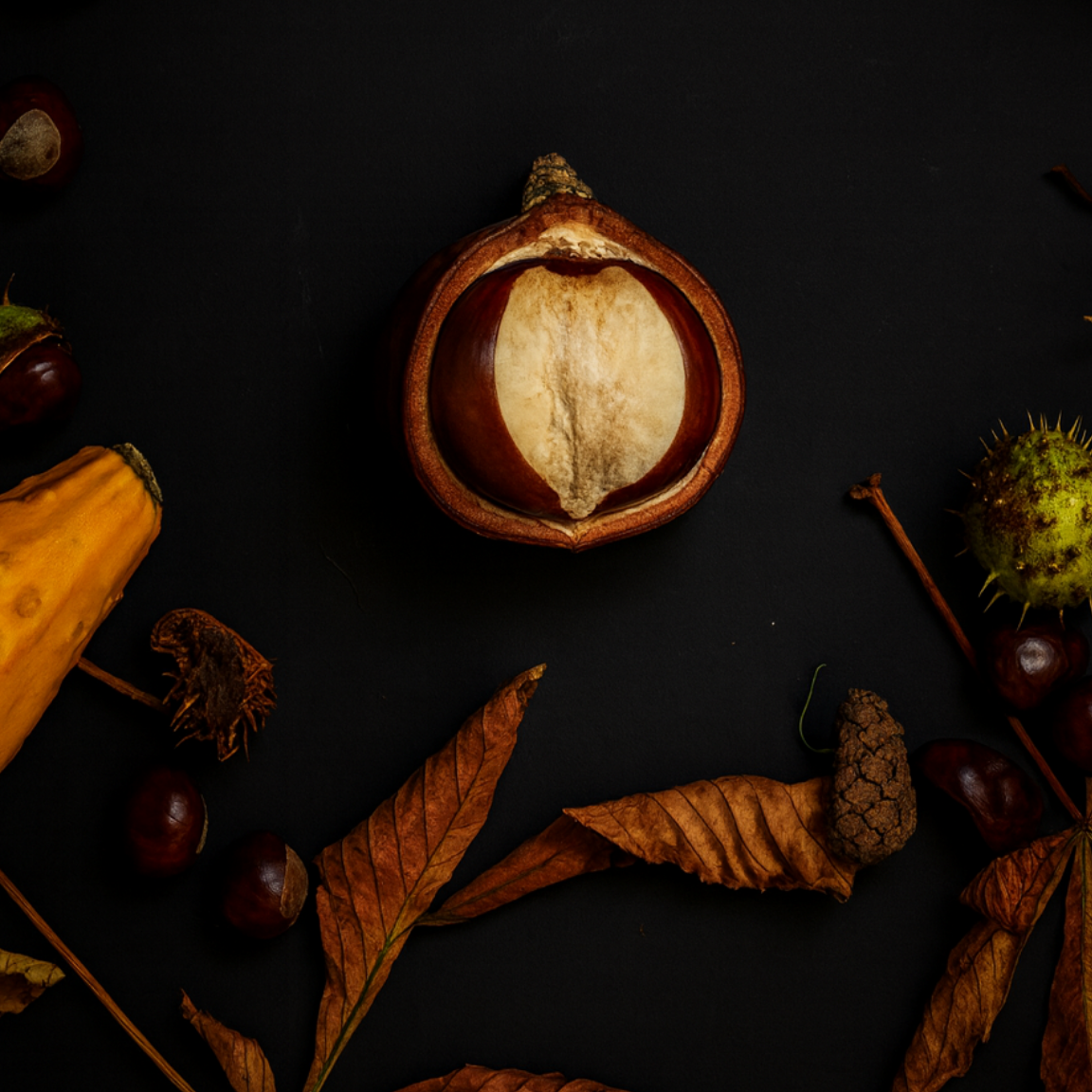 Chestnut Brown  Signature Hoodie